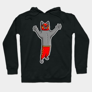 Gato Luchadore - Cat Luchador - Wrestler Kitty Hoodie